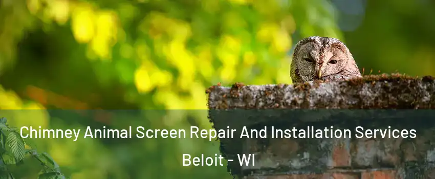  Chimney Animal Screen Repair And Installation Services Beloit - WI