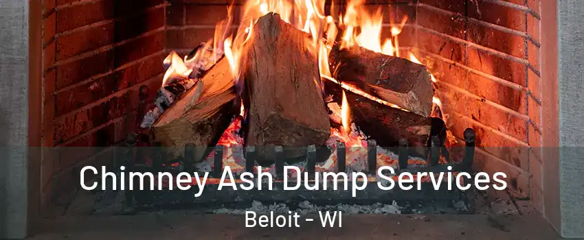  Chimney Ash Dump Services Beloit - WI