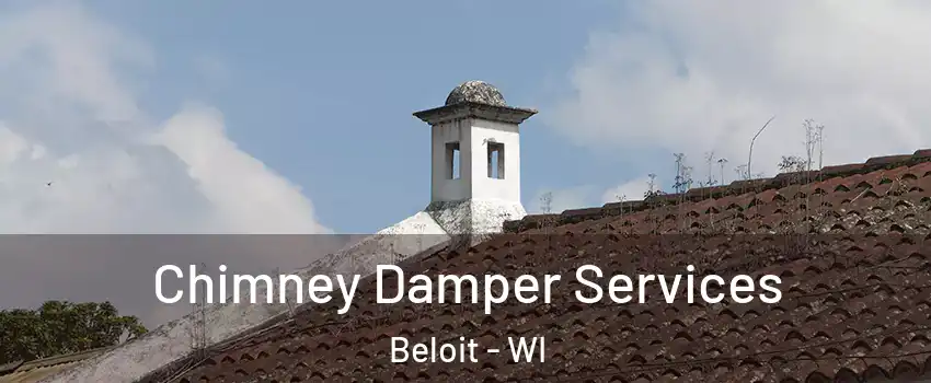  Chimney Damper Services Beloit - WI