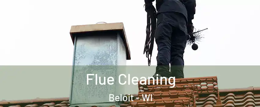  Flue Cleaning Beloit - WI