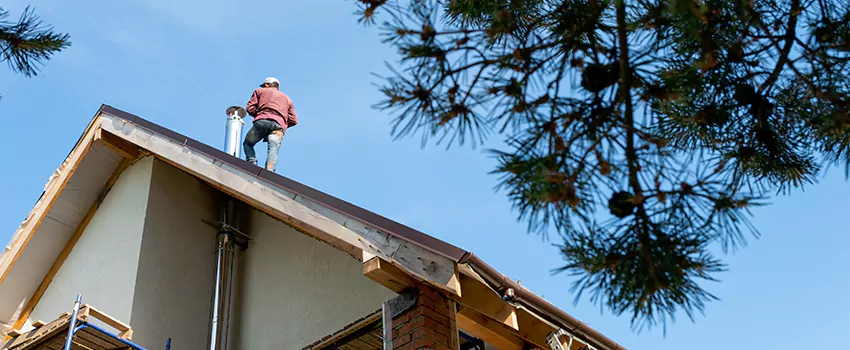Birds Removal Contractors from Chimney in Beloit, WI