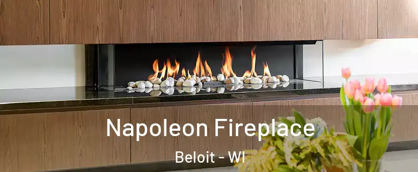  Napoleon Fireplace Beloit - WI