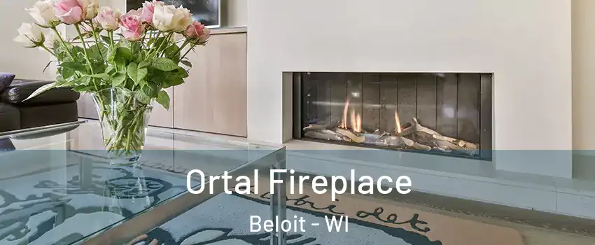  Ortal Fireplace Beloit - WI
